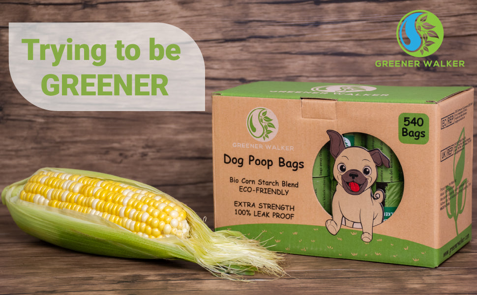 5 Best Biodegradable Dog Poop Bags PlanetFriendly Poop Scooping